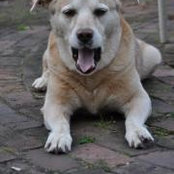 Kerry Flinn's photo
