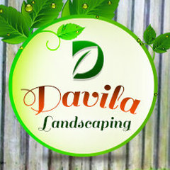 Davila Landscaping