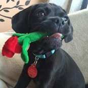 Chris Ktenas's photo