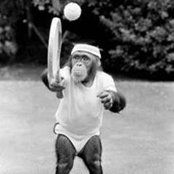 Ross Thompson's photo