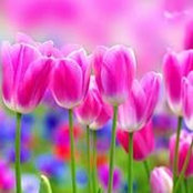 Margo Beauregard's photo