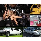 Bus Limo's photo