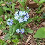 Jenifer Speckhard's photo