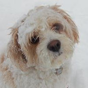 Jody Wisor's photo
