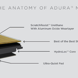 The Anatomy of Adura Max - Products