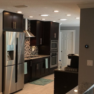 Orlando Contemporary Kitchen