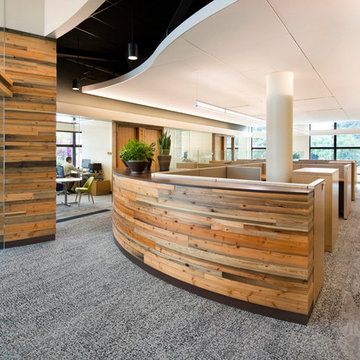 Transbay Terminal Douglas Fir
