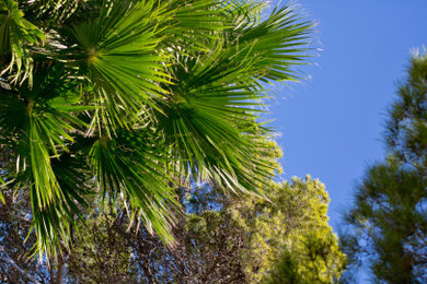 Sunset Albufera | Devesa Gardens Camping & Resort