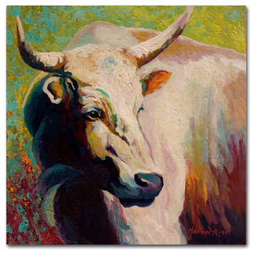 Marion Rose 'White Bull Portrait' Canvas Art, 24 x 24