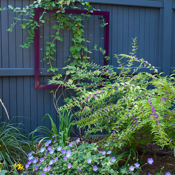 Frame trellis with honeysuckle vine