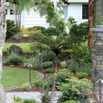 Willow Glen
