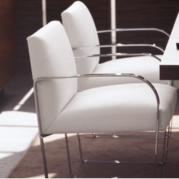 DSL Dining chairs - Dining Chairs
