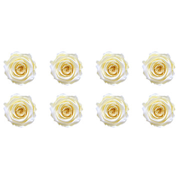 Regular Preserved Roses, Set of 8, Pure White