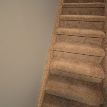 Bridlewood Basement