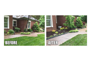 Lovely Landscpaing