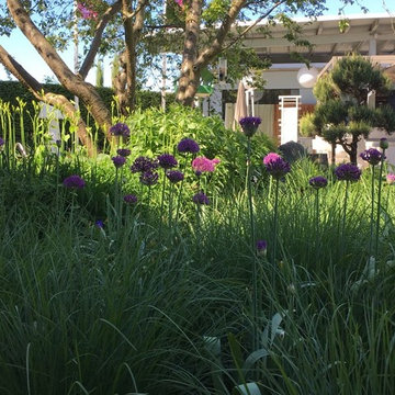 Unser Garten Eden (Mustergärten auf 2000 qm Fläche)