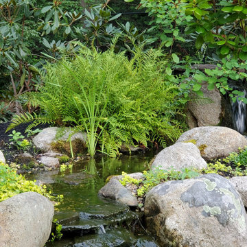 Lush Plantings with Stunning Seasonal Interest, Duxbury, MA