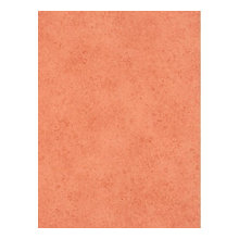 brighten up white kitchen wall