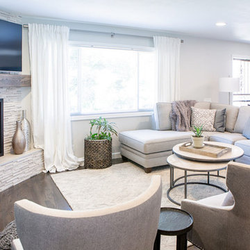 Clarkson Street Living Room + Fireplace Renovation