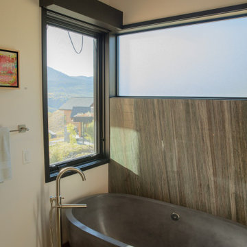 Silverthorne Mountain Contemporary