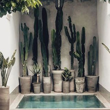 Landscape Design