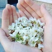 Mona Eissa's photo