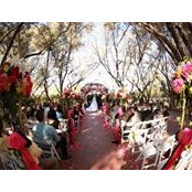 Stefani Davidson's photo