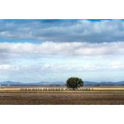 Hamish Strahorn's photo