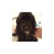finito's photo