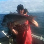 Dean Murphy's photo