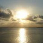 Debbie Park's photo