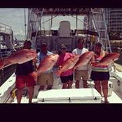 Terri Slay's photo