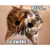 Kim Griffitts's photo