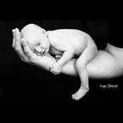 Molly Ostlund's photo