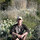David Peterson