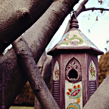 bird house