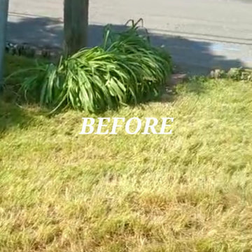 Cleanup and Mulching
