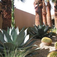 PS Courtyard