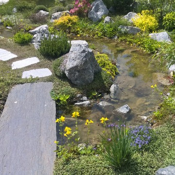 natural pond, Teichlandschaft