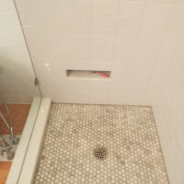 Transitional Remodeled Master Bath & Guest Bath