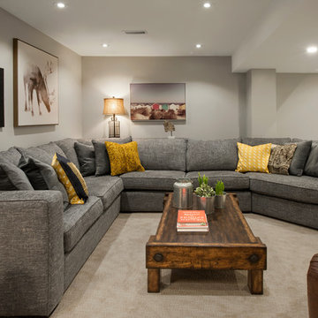 Full Basement Renovation