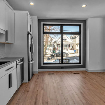 So. Division Project - Rental Property