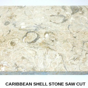 Caribbean Shell Stone