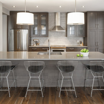 Bachelor's Dream Bath & Kitchen - Astro Design - Ottawa, Canada