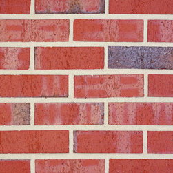 Triangle Brick's Wadesboro Blend Wirecut - Bricks And Masonry