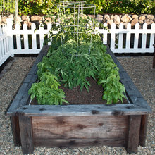 vegetable garden