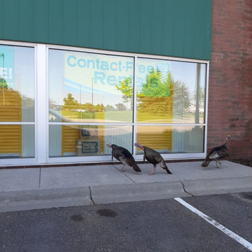 Commercial Landscape Services