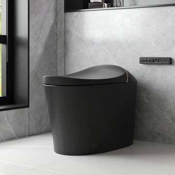 Smart Toilets