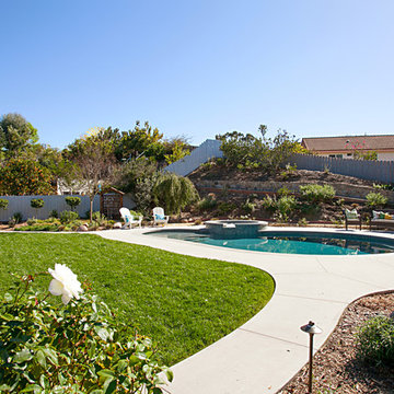 Backyard Dreams