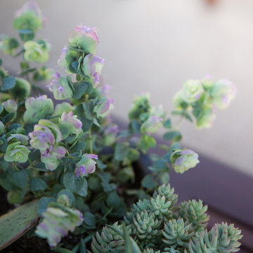 Patio Detail